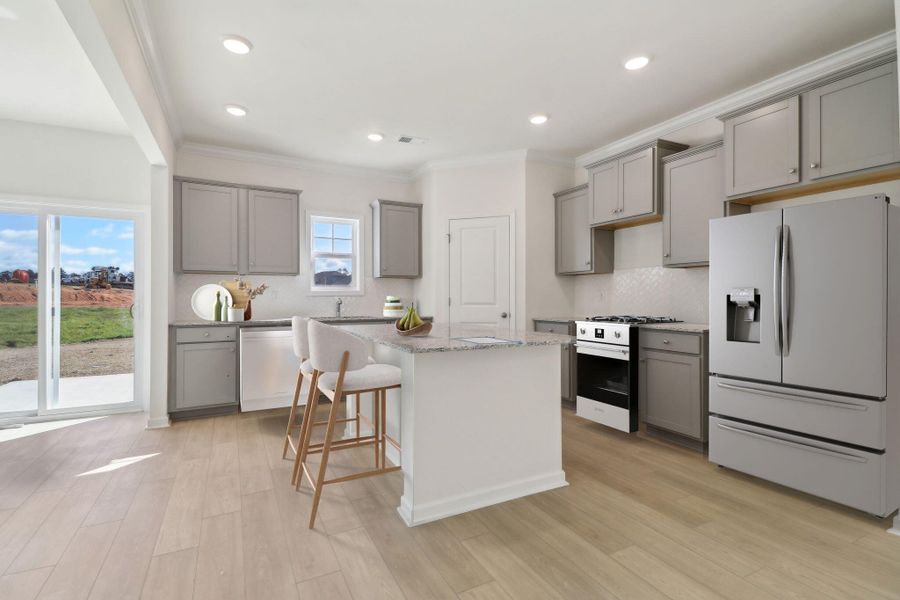 13-web-or-mls-Flat_Coat_Ln-008 vs