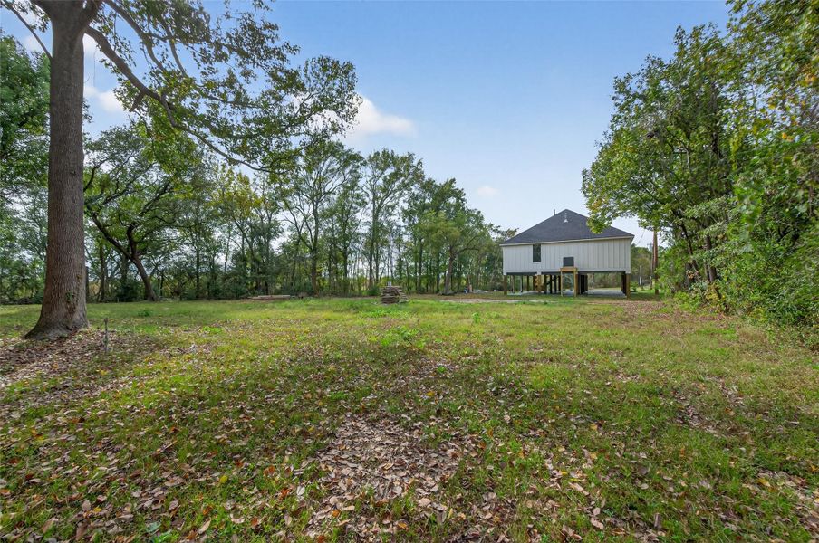 Natural landscape and outdoor views near  in Bridge City (Image 41).