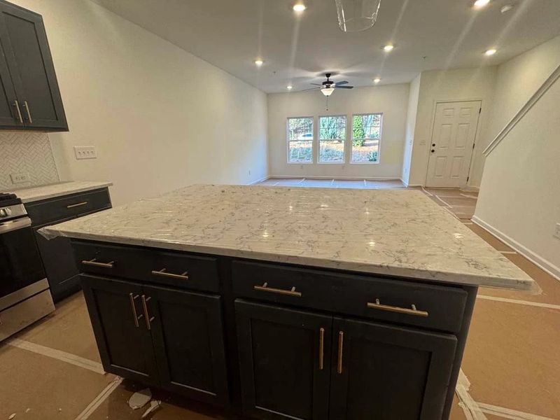 Kitchen featuring Luxe Collection Finishes Construction Progress