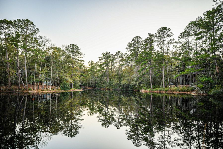 Natural landscape and outdoor views near in Dorchester (Image 20). Natural landscape and outdoor views near in Dorchester (Image 20).