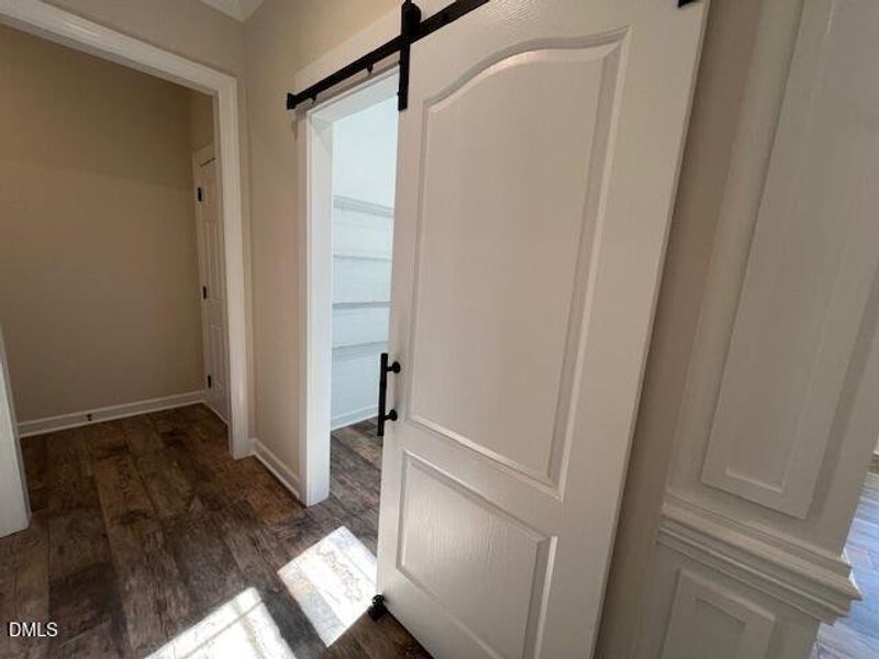 IMG_8945 (1) IMG_8945 (1)