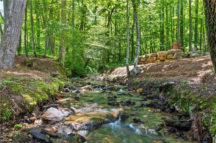 Natural landscape and outdoor views near  in Talking Rock (Image 63).