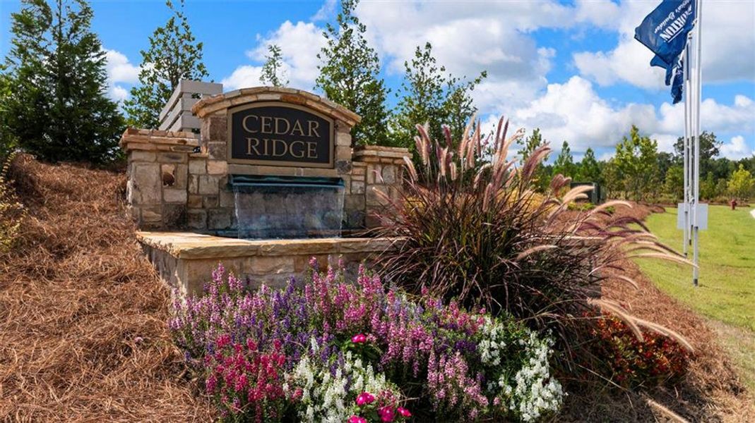 Image 52 of a home in Locust Grove Station - Cedar Ridge.