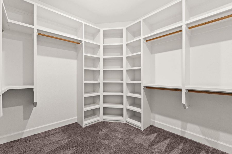 Walk in closet with dark colored carpet