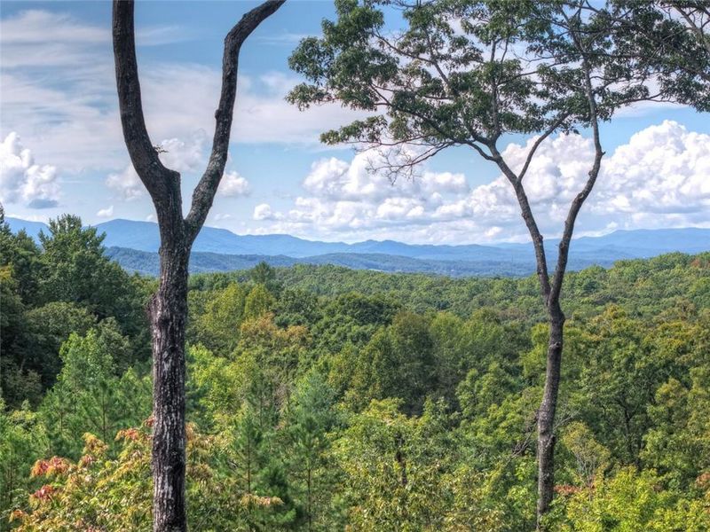 Natural landscape and outdoor views near  in Morganton (Image 52).