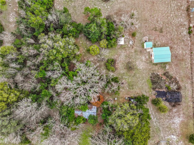 Natural landscape and outdoor views near  in Gainesville (Image 51).