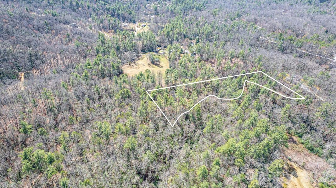 Natural landscape and outdoor views near  in Brevard (Image 21).