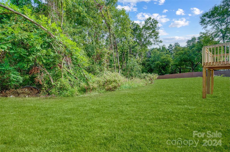 Backyard & most of 1.36 acre lot!