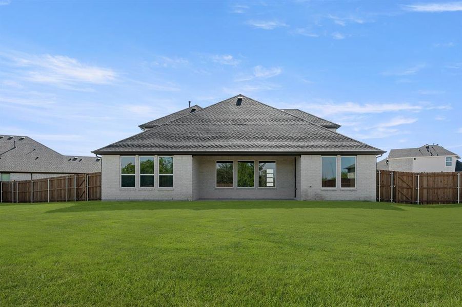 701 Iris- Back-1 701 Iris- Back-1