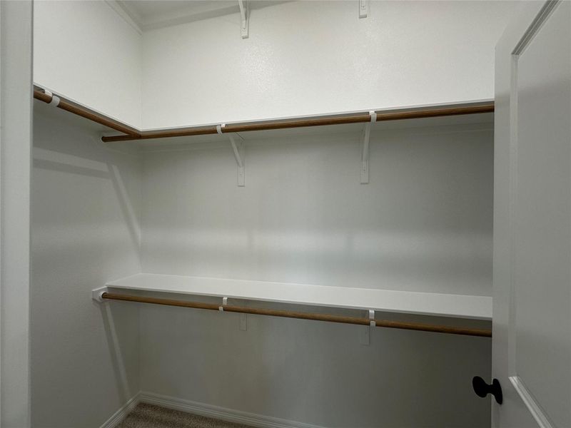 Walk-in closet with white shelving, wood-finish hanging rods, and neutral-toned carpeting
