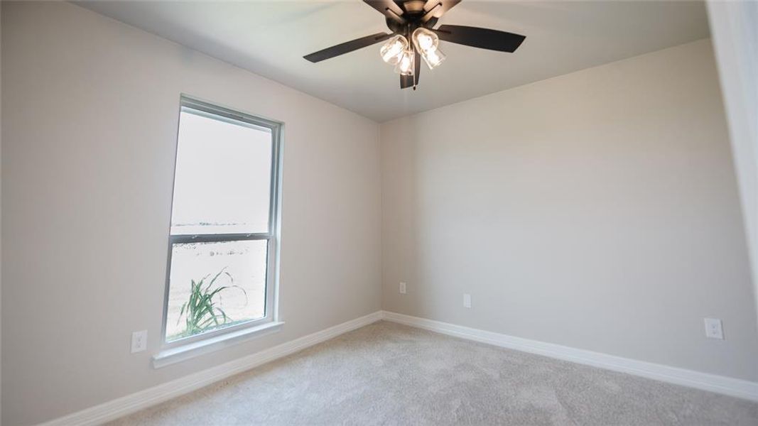 Empty room with light colored carpet and ceiling fan Empty room with light colored carpet and ceiling fan