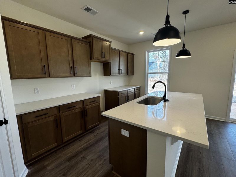 Furnished interior view inside a new home in Boykin Hills, Chapin (Image 3).