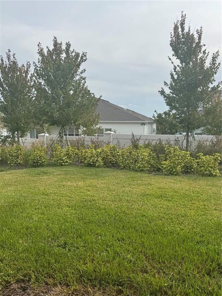 Natural landscape and outdoor views near Willow Ridge in Montverde (Image 7).