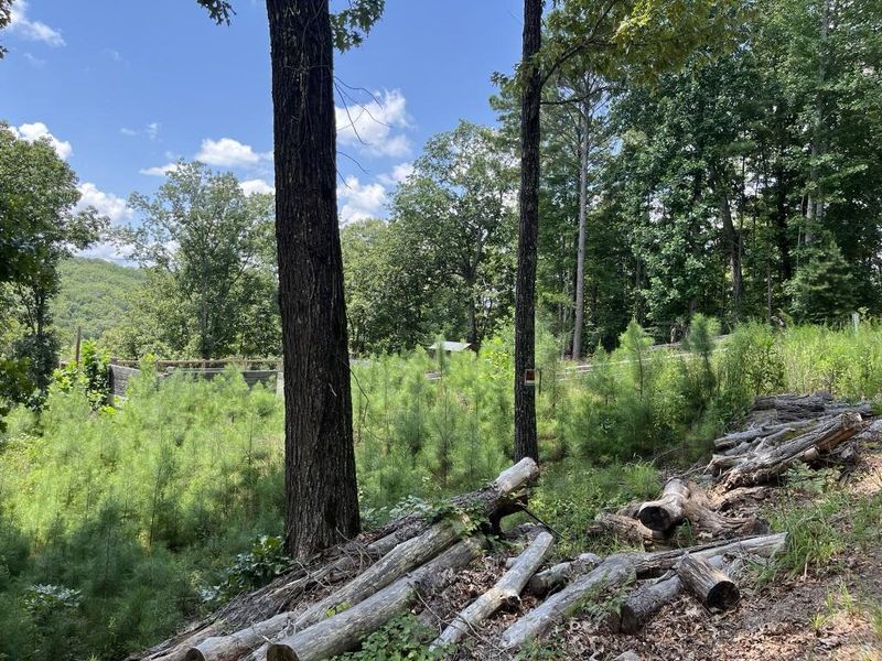 Natural landscape and outdoor views near in Ranger (Image 18). Natural landscape and outdoor views near in Ranger (Image 18).