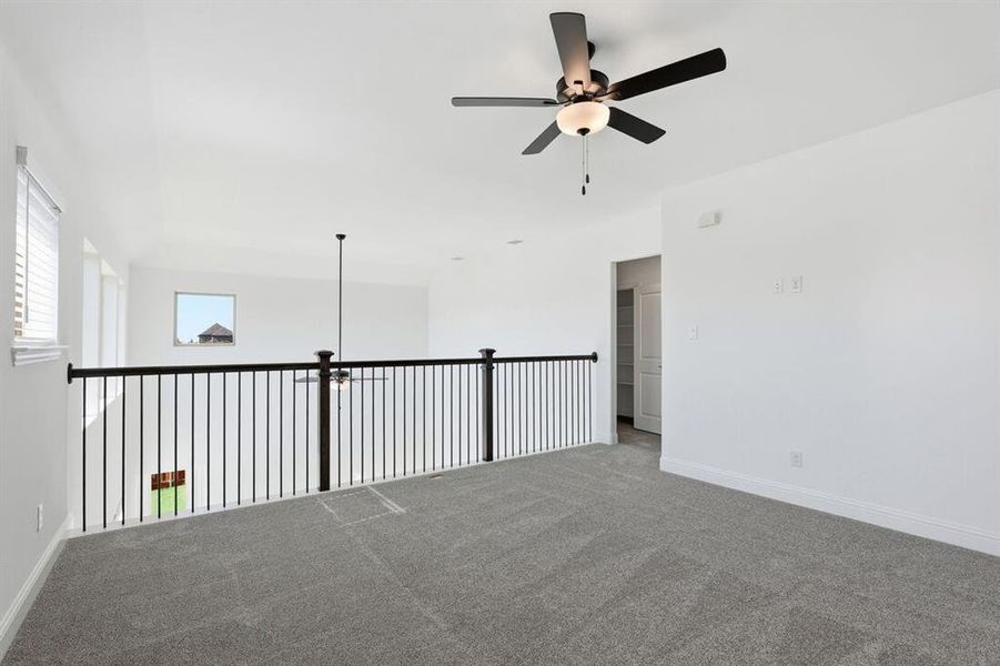 1008 Rainshower ~ Ready Now 1008 Rainshower ~ Ready Now