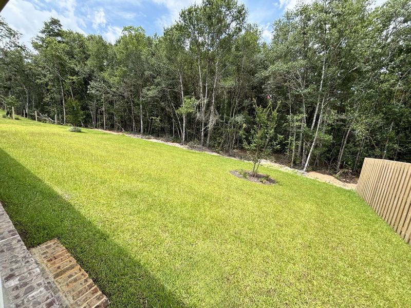 Natural landscape and outdoor views near Bird Song at Hammock Bay in Freeport (Image 30).
