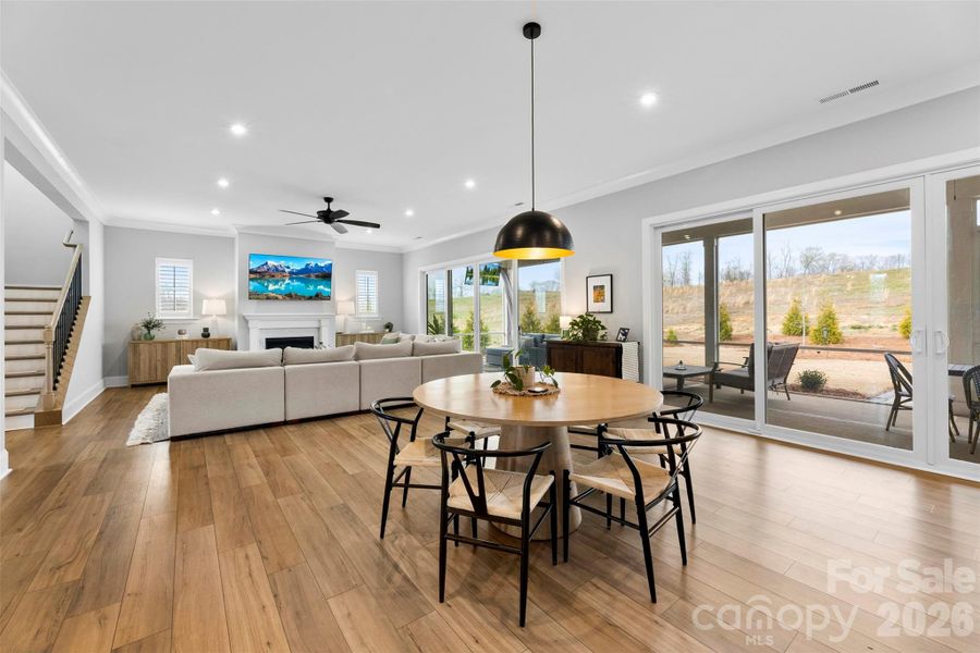 Furnished interior view inside a new home in , Belmont (Image 23).