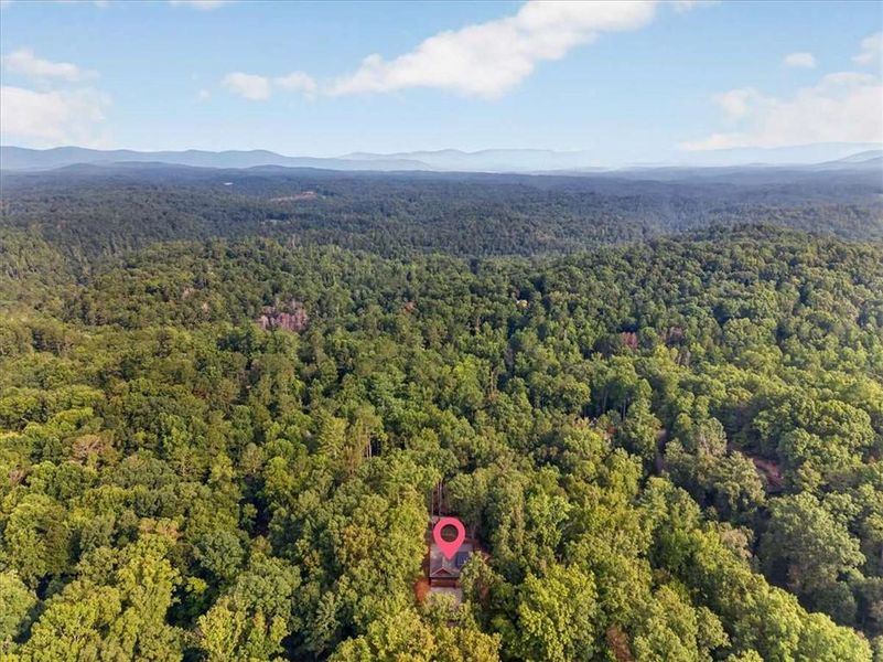 Natural landscape and outdoor views near  in Ellijay (Image 41).