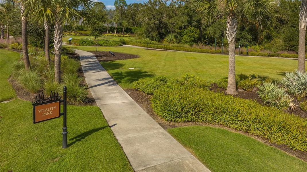 Natural landscape and outdoor views near  in Bradenton (Image 82).