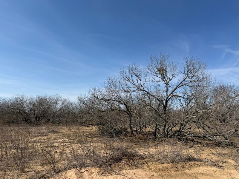 Natural landscape and outdoor views near  in Dale (Image 4).