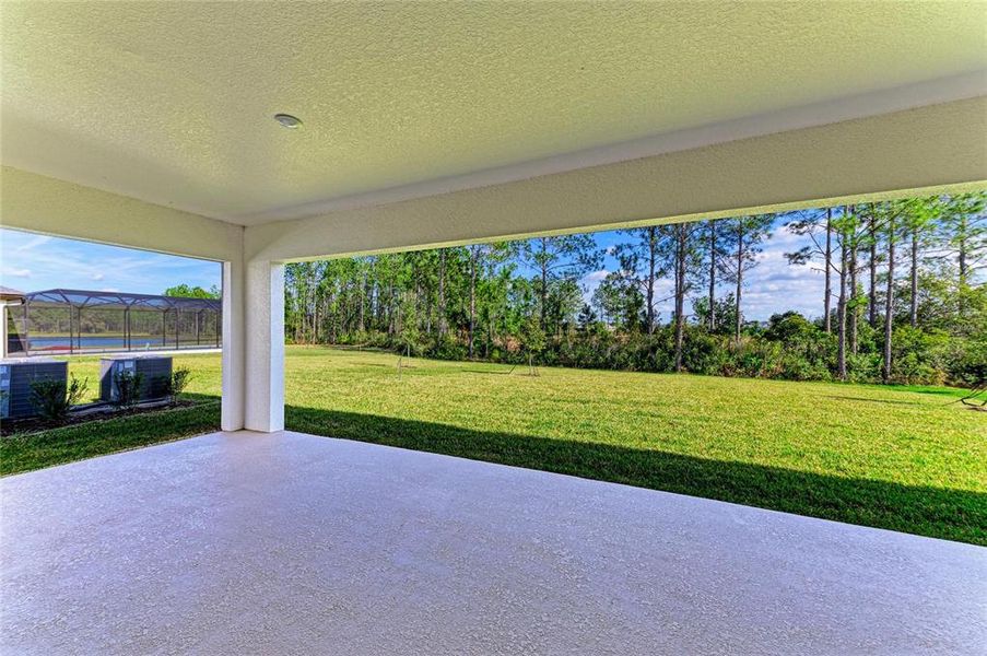 Exterior details and patio area of a home in Two Rivers, Zephyrhills (Image 18).