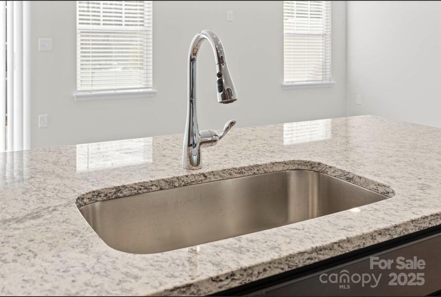 Sierra Ridge Hawthorne Gourmet Kitchen Oversized Sink