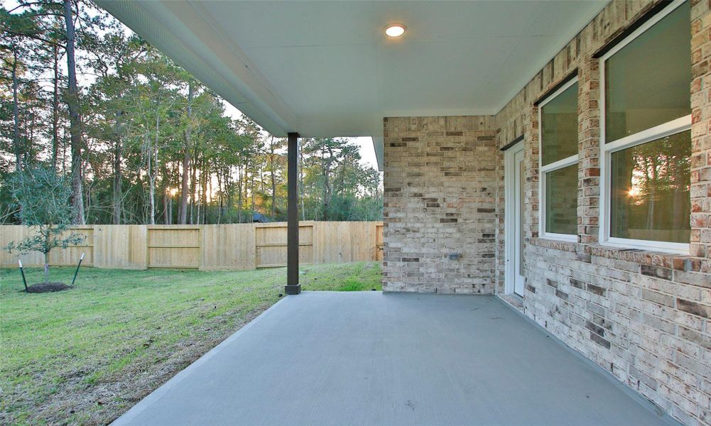 Exterior details and patio area of a home in The Woodlands Hills, Willis (Image 16).