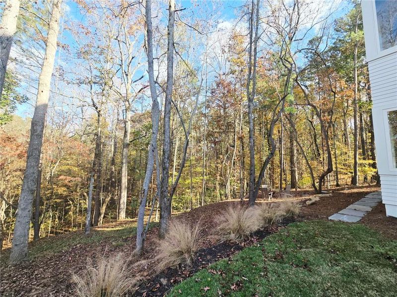 Natural landscape and outdoor views near Aster in Roswell (Image 50). Natural landscape and outdoor views near Aster in Roswell (Image 50).