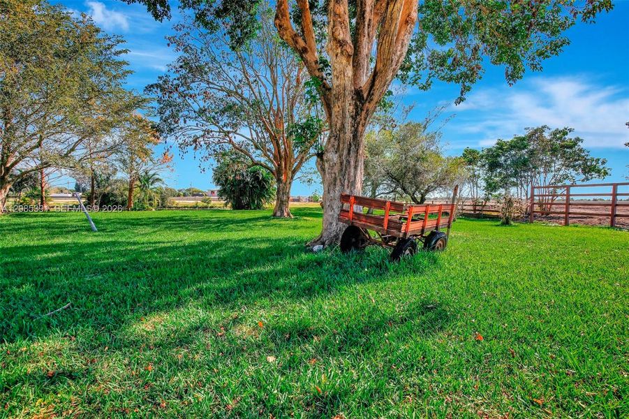 Natural landscape and outdoor views near  in Miramar (Image 16).