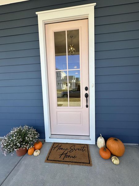 Exterior details and patio area of a home in Nexton, Summerville (Image 3).
