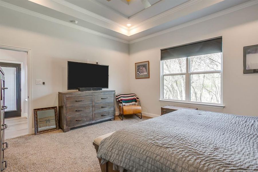 Furnished interior view inside a new home in , Nemo (Image 3).