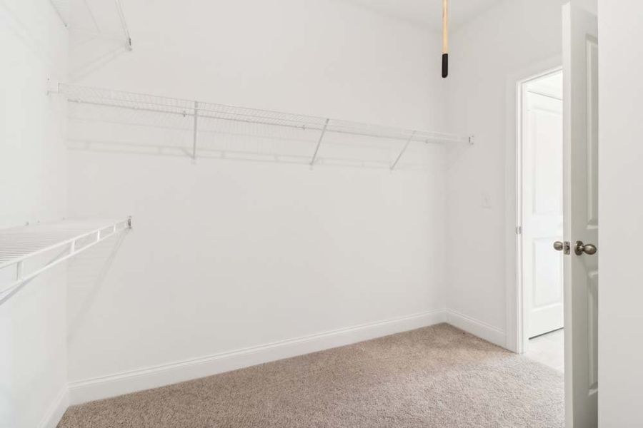 Primary Bedroom Walk-in Closet