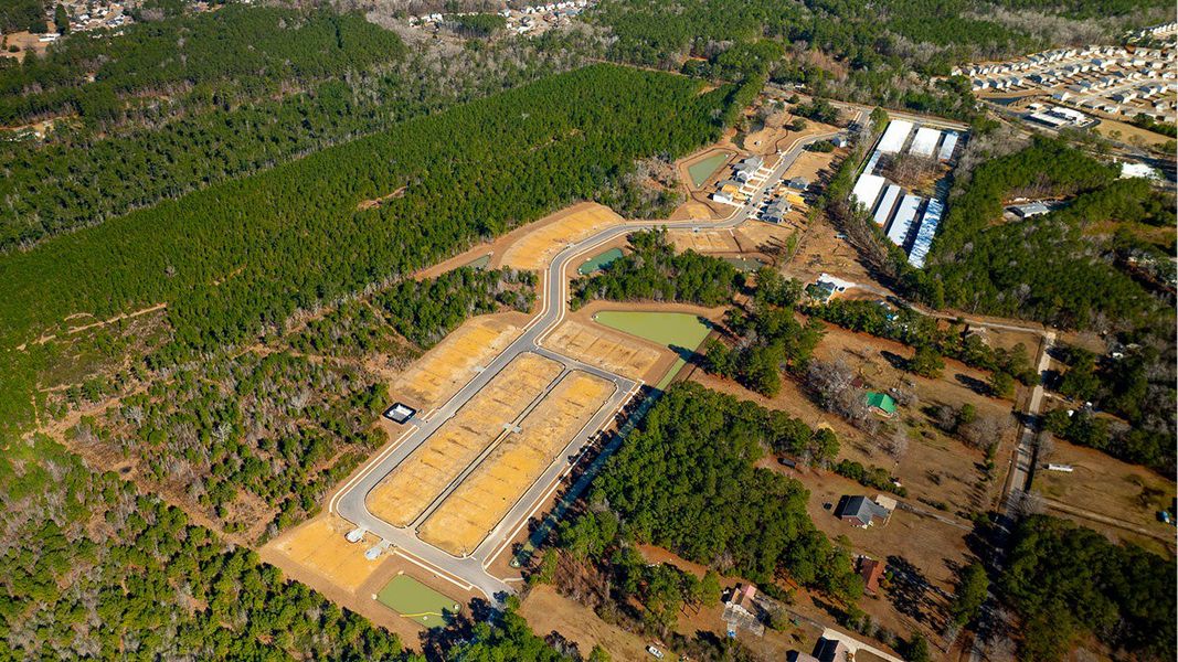 Site preparation for new homesites in The Cove at Mallard Crossing, Summerville (Image 22).