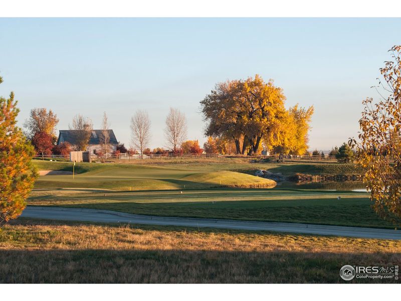 Natural landscape and outdoor views near Vernazza in Windsor (Image 39).