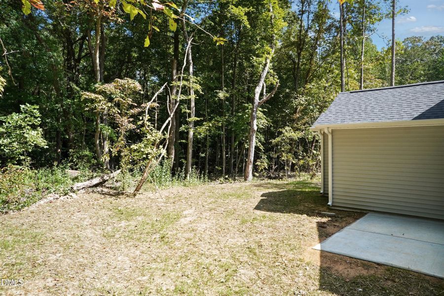 Back Yard 02 Back Yard 02