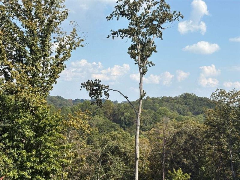 Natural landscape and outdoor views near  in Dahlonega (Image 10).