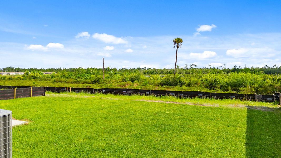 Natural landscape and outdoor views near Morningside in Panama City (Image 31).