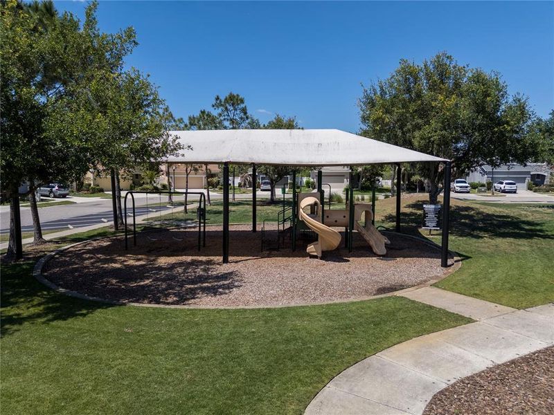 Community amenities in , Wesley Chapel (Image 57).