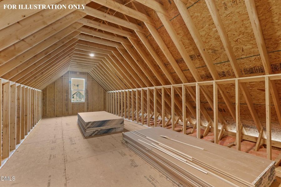 36-web-or-mls-2N6A8377-ink