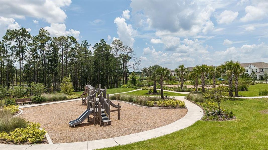 Community amenities in Harvest at Ovation, Winter Garden (Image 31).