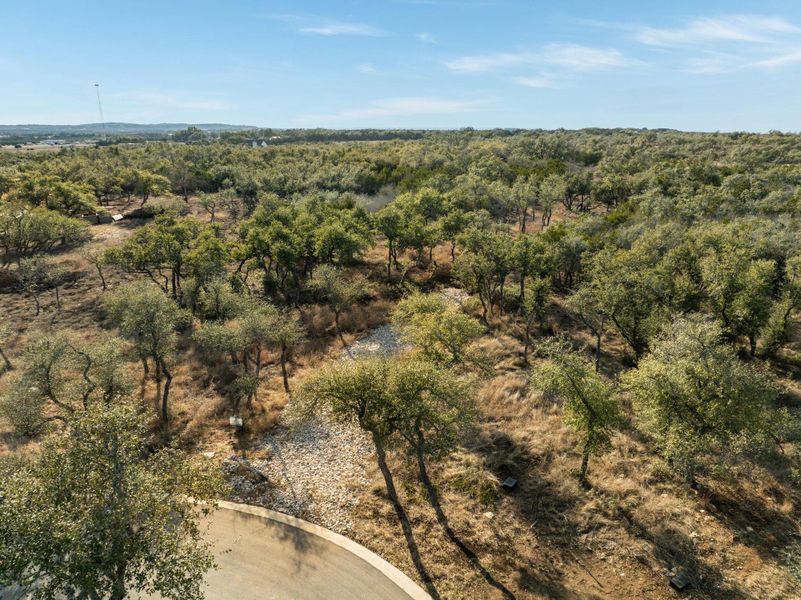 Natural landscape and outdoor views near  in Dripping Springs (Image 23).