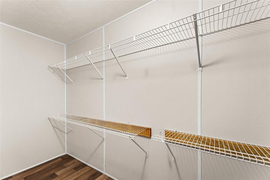 Walk in closet featuring dark wood-type flooring