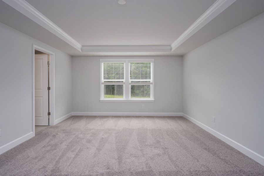 An elegant Owner's Suite with space to relax and tray ceiling details. An elegant Owner's Suite with space to relax and tray ceiling details.