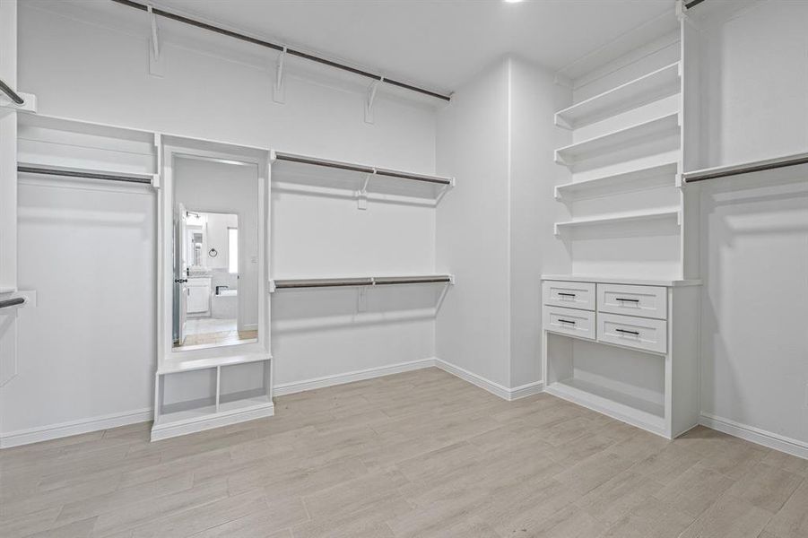 Spacious closet featuring light wood-type flooring