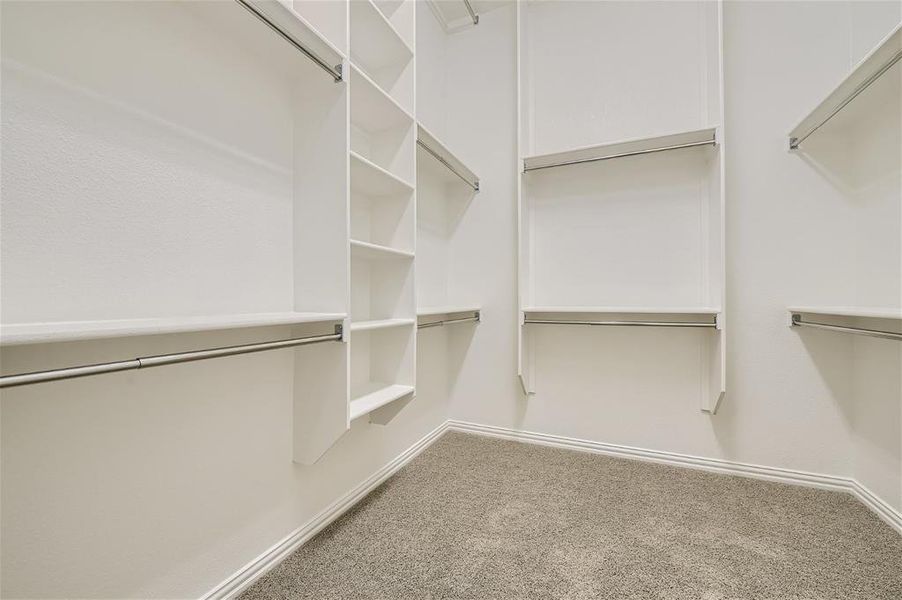 Spacious closet with carpet floors