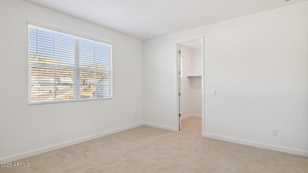 3985_Phoenician_Lot 2081_Aloravita_Peori 3985_Phoenician_Lot 2081_Aloravita_Peori