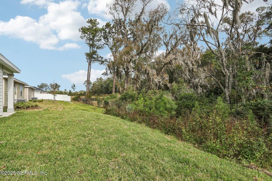 Natural landscape and outdoor views near Kings Landing in Jacksonville (Image 36).