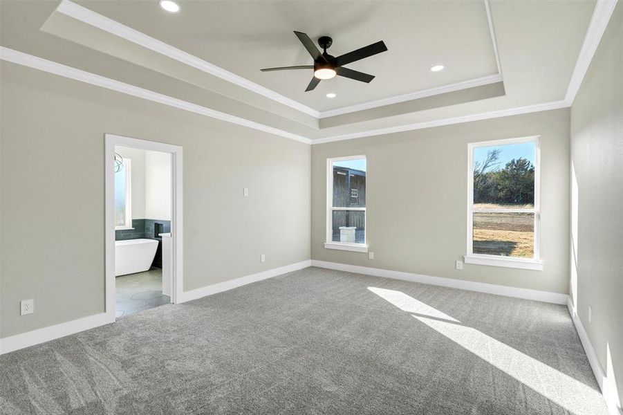 Carpeted spare room with crown molding, a tray ceiling, and ceiling fan