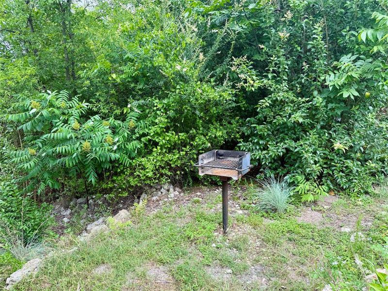 Natural landscape and outdoor views near  in Whitney (Image 10).