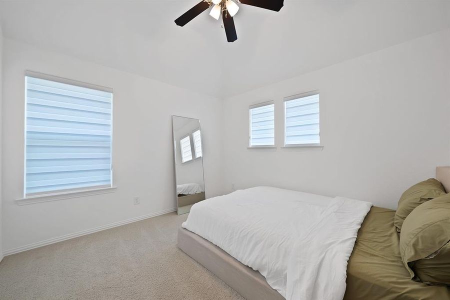 Bright room featuring white walls, plush carpet flooring, a ceiling fan, and multiple windows with horizontal blinds